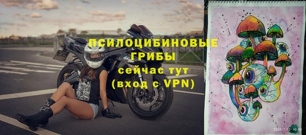 дживик Армянск