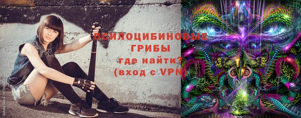 дживик Армянск