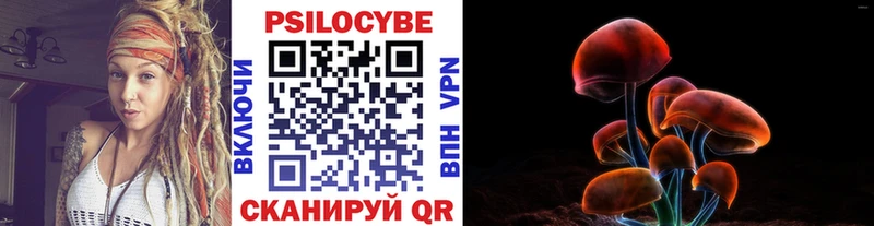 Галлюциногенные грибы Psilocybe  shop телеграм  Сурск 